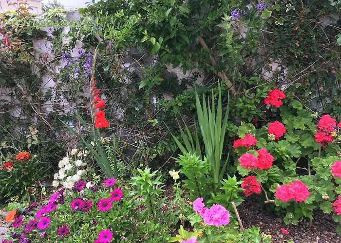 Casa Da Isabelinha * 蓬塔德尔加达